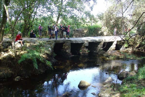 Foto 14 da atividade Galeria de Fotos