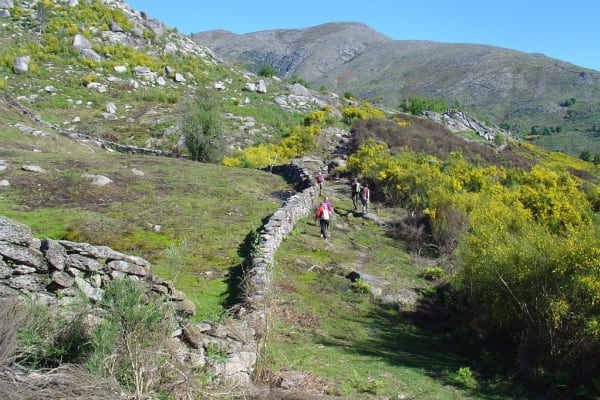 Foto 152 da atividade Galeria de Fotos