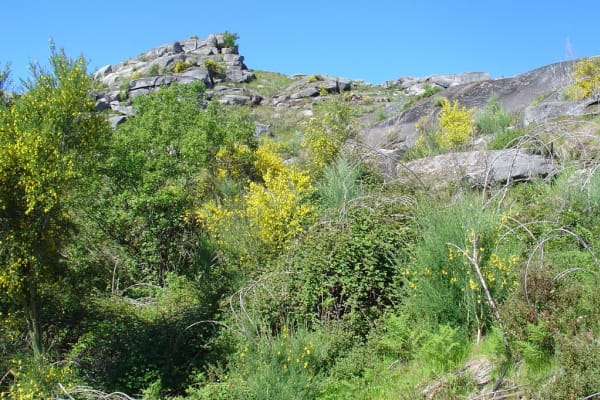 Foto 149 da atividade Galeria de Fotos