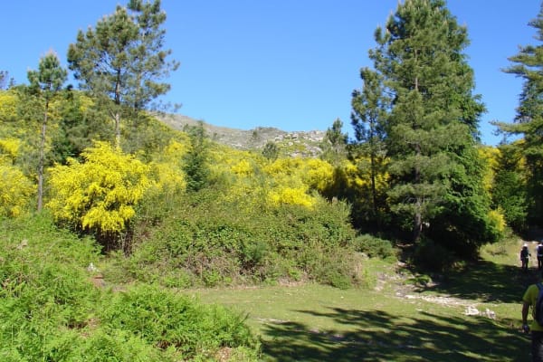 Foto 132 da atividade Galeria de Fotos