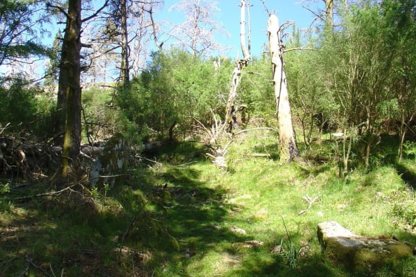 Foto 120 da atividade Galeria de Fotos