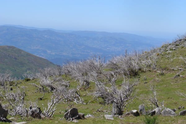 Foto 96 da atividade Galeria de Fotos