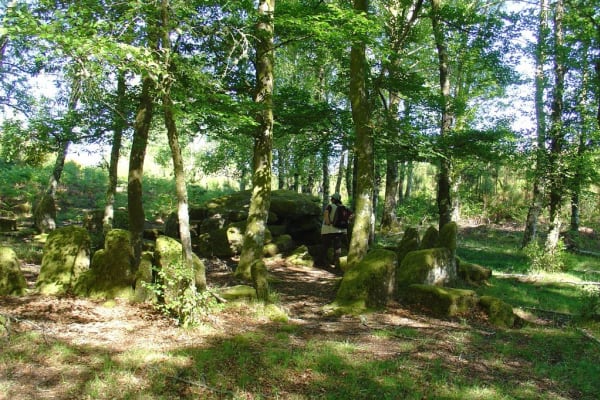 Foto 90 da atividade Galeria de Fotos