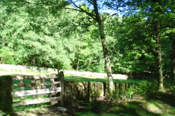 Foto 85 da atividade Galeria de Fotos