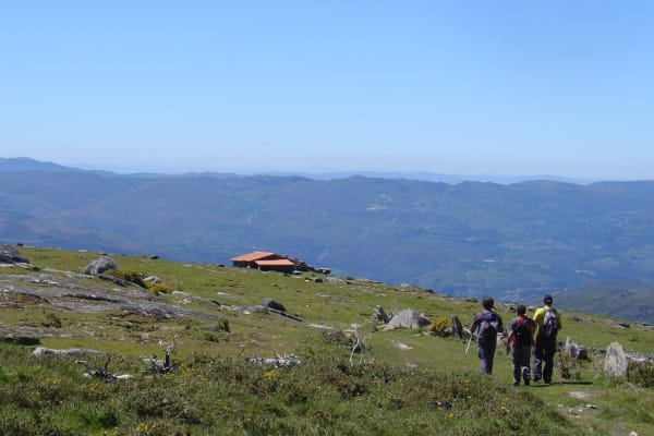 Foto 82 da atividade Galeria de Fotos