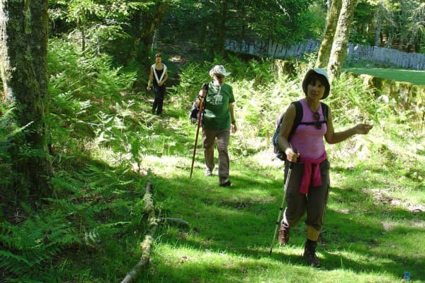 Foto 74 da atividade Galeria de Fotos