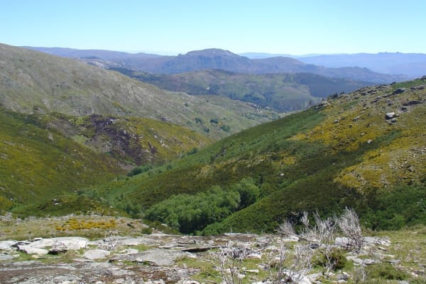 Foto 55 da atividade Galeria de Fotos