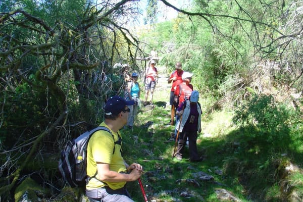 Foto 32 da atividade Galeria de Fotos