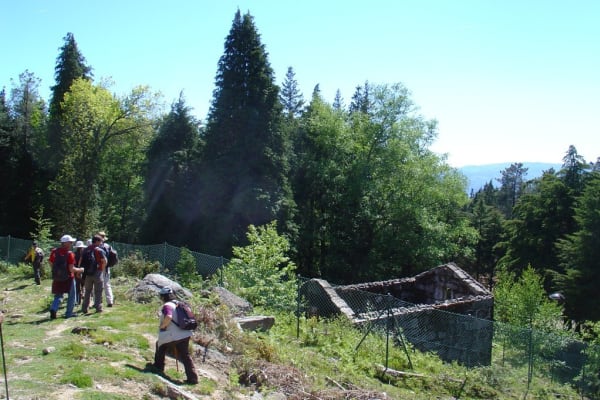 Foto 33 da atividade Galeria de Fotos