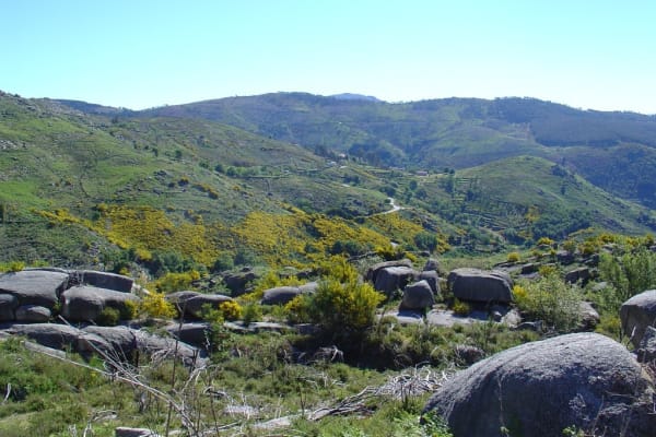 Foto 26 da atividade Galeria de Fotos