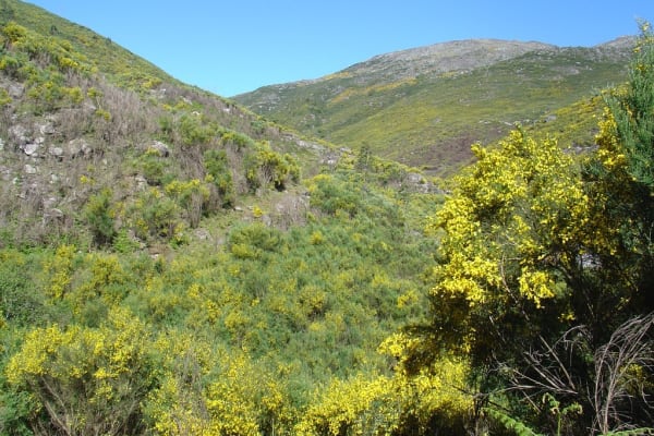 Foto 28 da atividade Galeria de Fotos