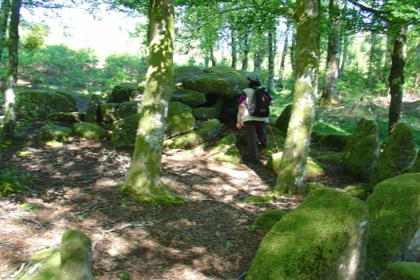 Foto 24 da atividade Galeria de Fotos