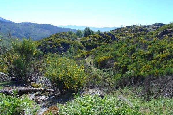 Foto 11 da atividade Galeria de Fotos