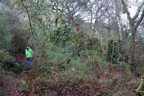 Foto 119 da atividade Galeria de Fotos