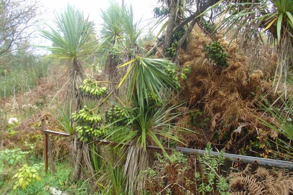 Foto 72 da atividade Galeria de Fotos