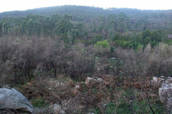 Foto 59 da atividade Galeria de Fotos