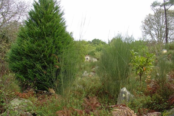 Foto 18 da atividade Galeria de Fotos