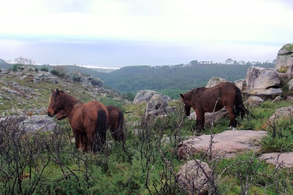 Foto 9 da atividade Galeria de Fotos