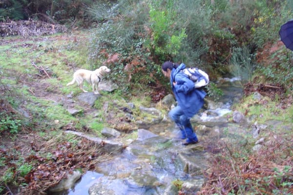 Foto 8 da atividade Galeria de Fotos