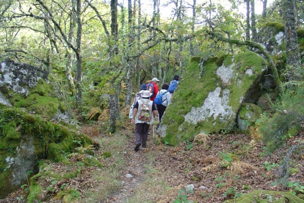 Foto 48 da atividade Galeria de Fotos