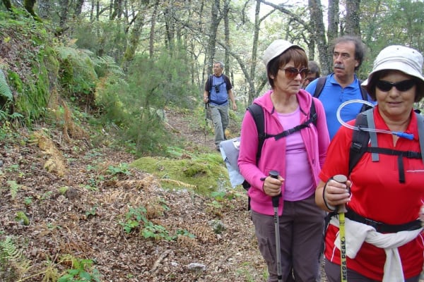 Foto 41 da atividade Galeria de Fotos