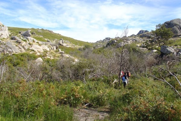 Foto 40 da atividade Galeria de Fotos