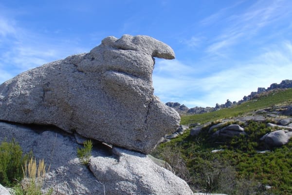 Foto 32 da atividade Galeria de Fotos