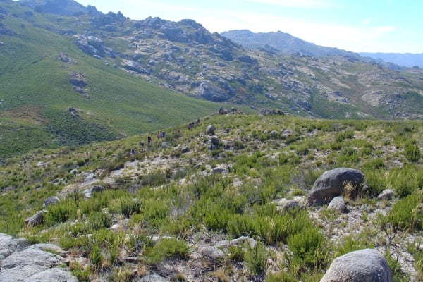 Foto 33 da atividade Galeria de Fotos