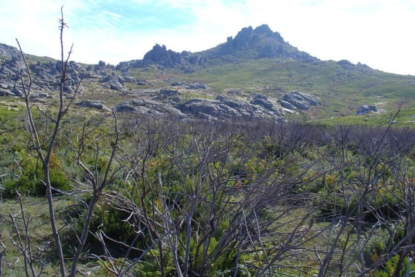 Foto 26 da atividade Galeria de Fotos