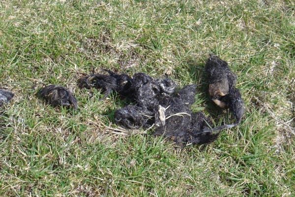 Foto 13 da atividade Galeria de Fotos