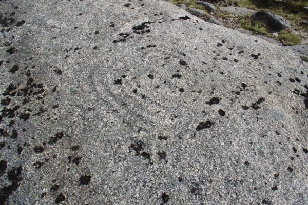 Foto 1 da atividade Galeria de Fotos