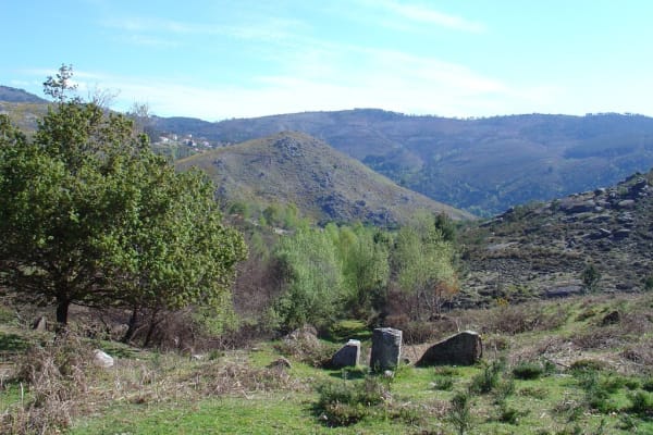 Foto 41 da atividade Galeria de Fotos