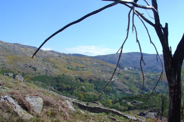 Foto 28 da atividade Galeria de Fotos