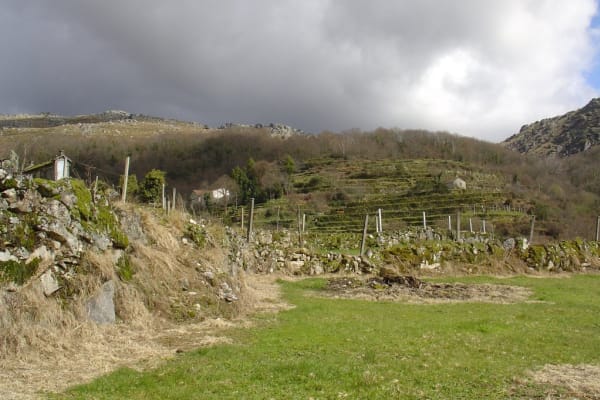 Foto 90 da atividade Galeria de Fotos