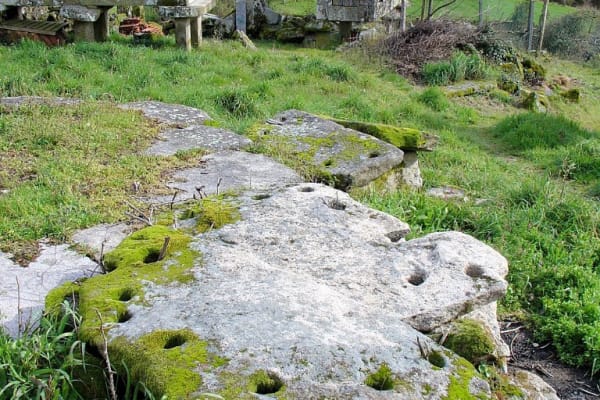 Foto 91 da atividade Galeria de Fotos