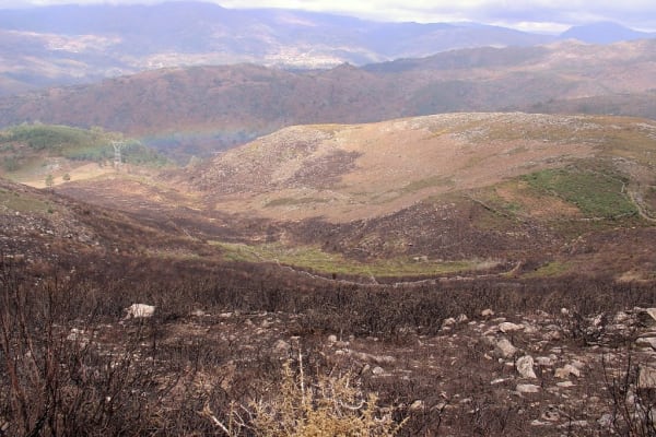 Foto 86 da atividade Galeria de Fotos