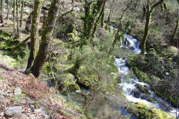 Foto 87 da atividade Galeria de Fotos