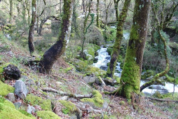 Foto 82 da atividade Galeria de Fotos