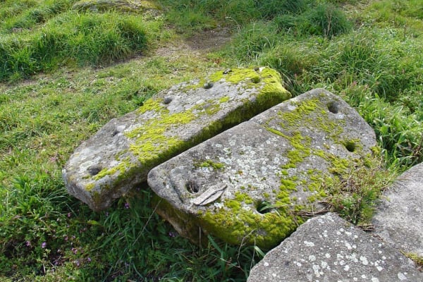 Foto 80 da atividade Galeria de Fotos