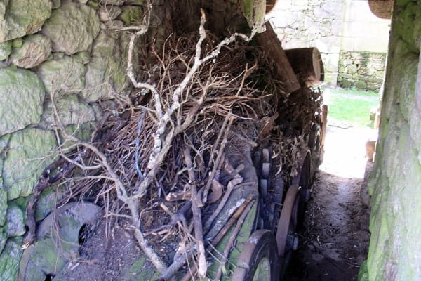 Foto 69 da atividade Galeria de Fotos