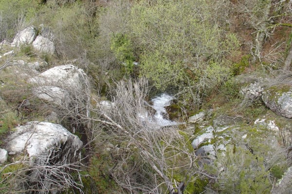 Foto 57 da atividade Galeria de Fotos