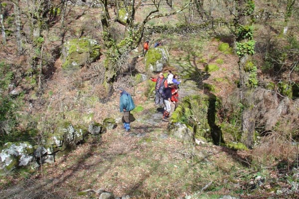 Foto 41 da atividade Galeria de Fotos