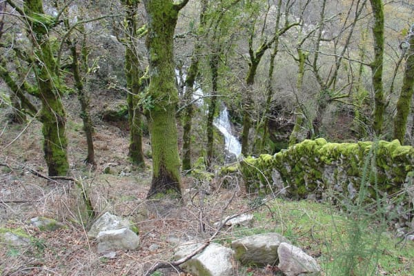 Foto 40 da atividade Galeria de Fotos