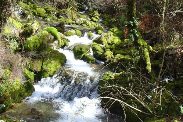 Foto 22 da atividade Galeria de Fotos