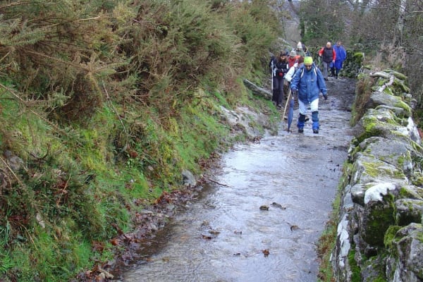 Foto 8 da atividade Galeria de Fotos