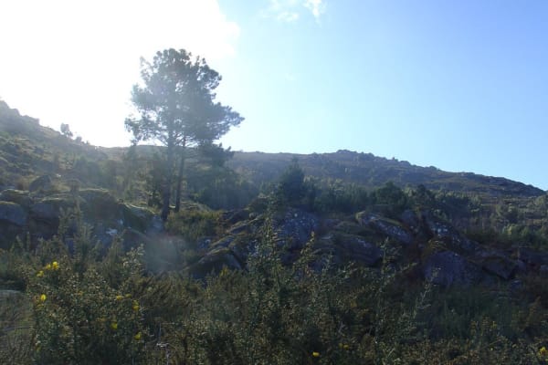 Foto 22 da atividade Galeria de Fotos