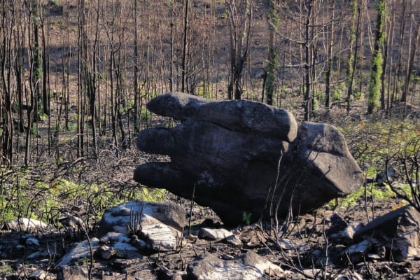 Foto 82 da atividade Galeria de Fotos