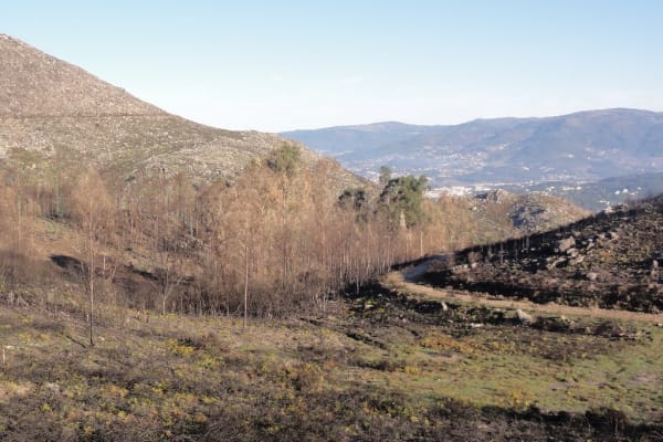 Foto 79 da atividade Galeria de Fotos