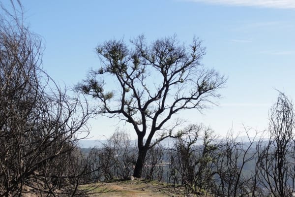 Foto 50 da atividade Galeria de Fotos