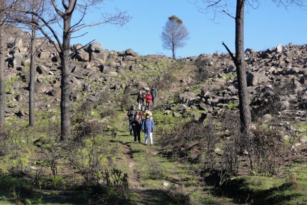 Foto 25 da atividade Galeria de Fotos